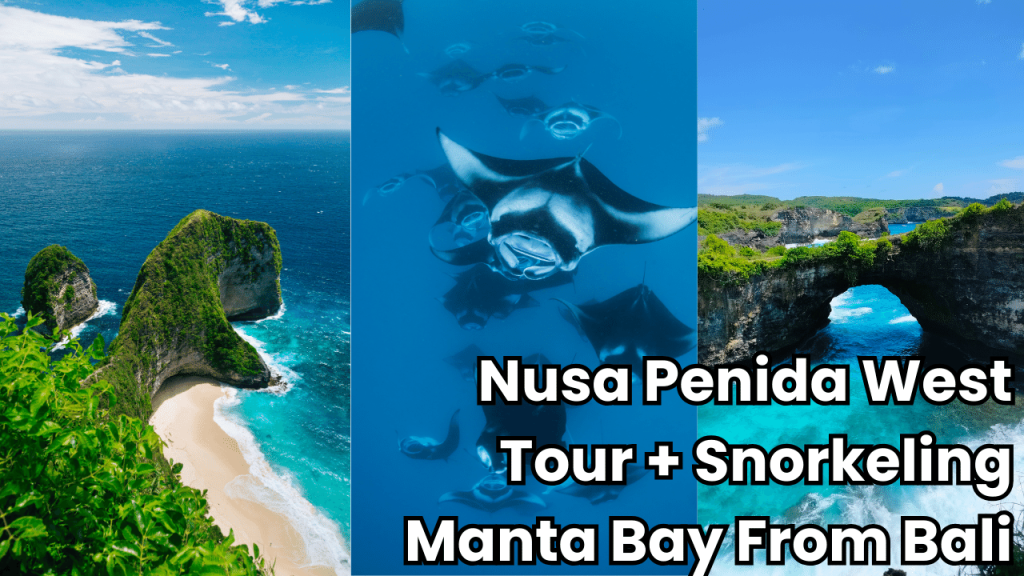 manta west nusa penida