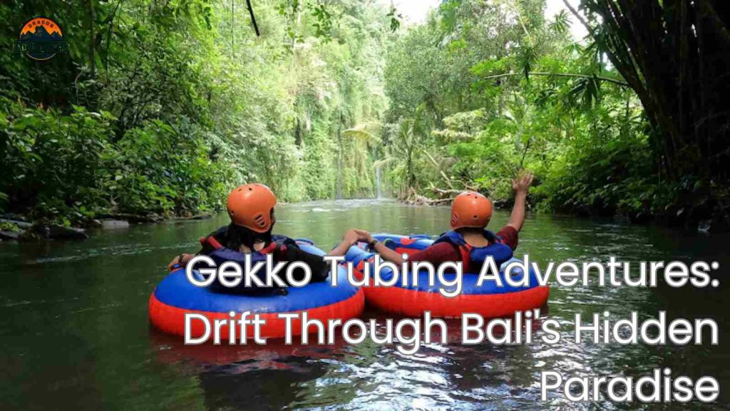 Gekko Tubing Adventures