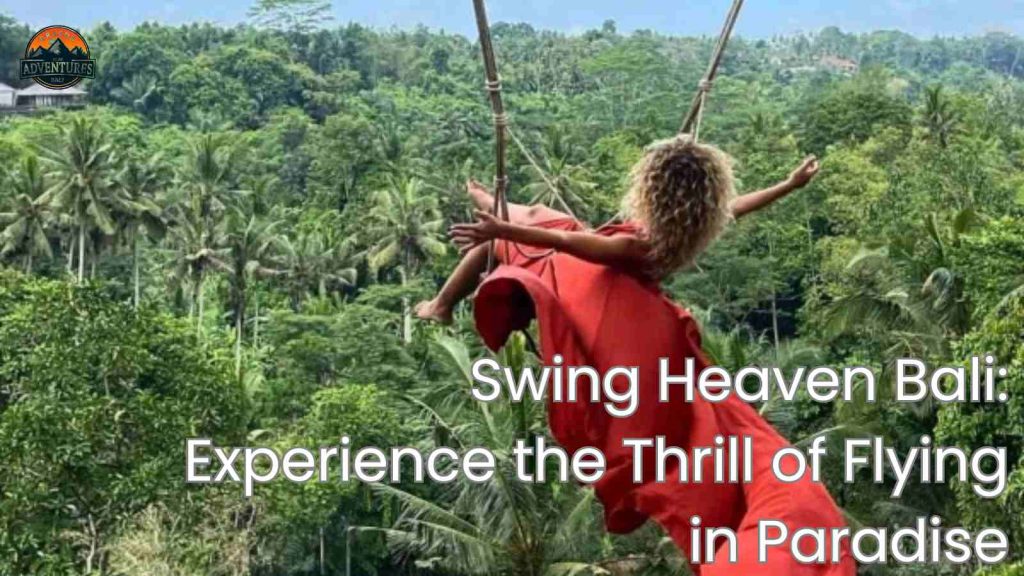 swing heaven bali