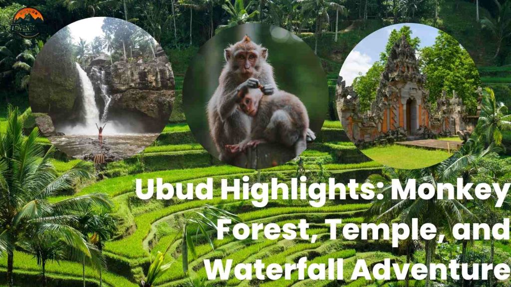 Ubud Highlight